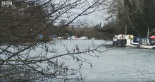 Photo of the River Thames near Hampton Court