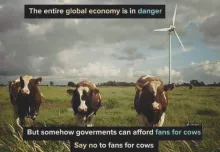 Fans for cows poster